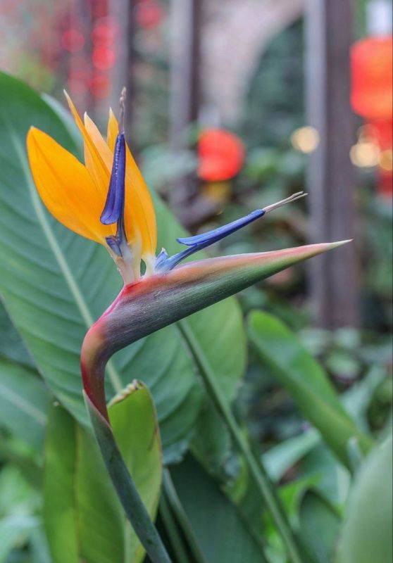 � ����������� ������� �� ��� ������ ������ �������� �������� �����: