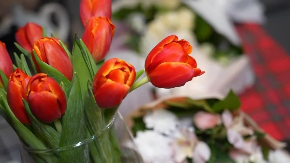 ��������� �������: ������ � ��������� ������� �� ������� ���������� �� ��������� ����� ������ ����� ���������� �������, ���������� ��������� � ���� ����������� ������� ��������