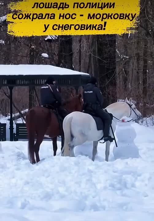 ������� ��������� ���� ��������� ������������� � ������