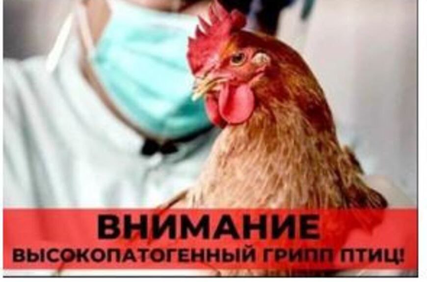 Важная информация от Солнечногорской ветеринарной станции!