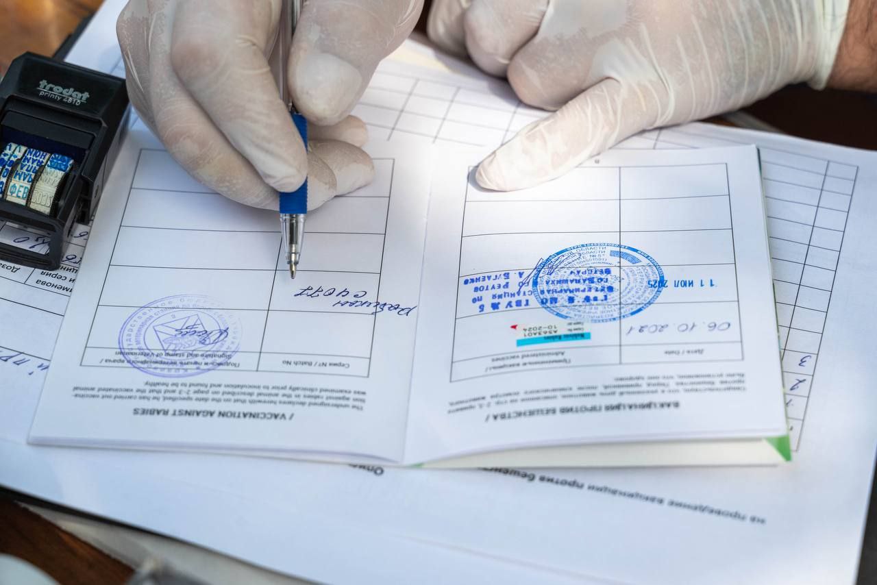 Бесплатная вакцинация домашних животных от бешенства в Реутове Бесплатная вакцинация домашних животных от бешенства в Реутове