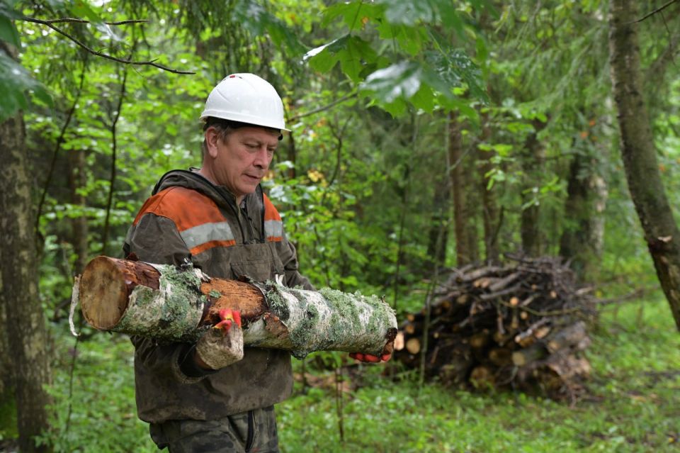 � ����������� ������ ������ ����� ��� ���������� � �������-������� ������