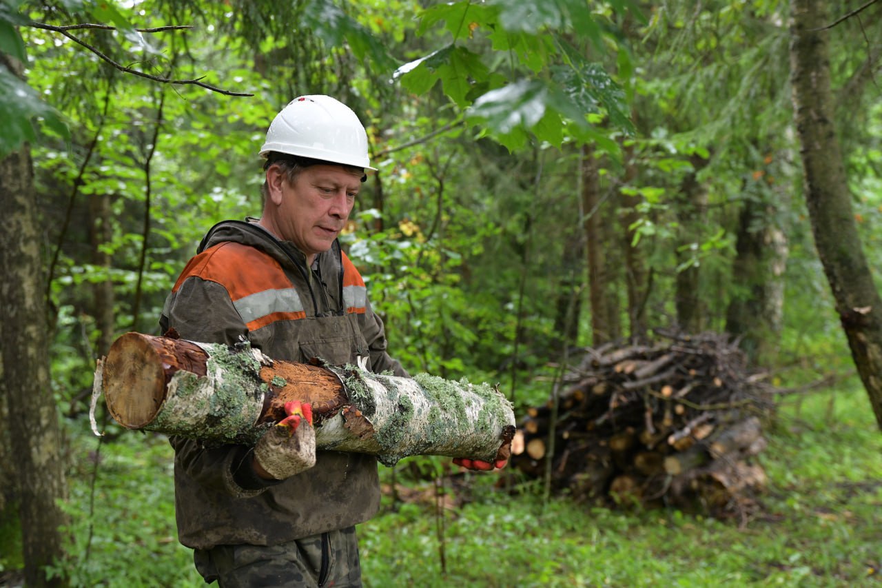 В Дмитровском округе полным ходом идёт подготовка к весенне-летнему сезону