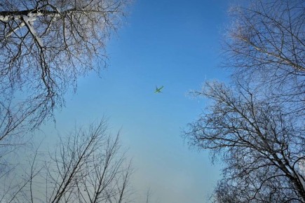 ������ ����, �����������!. ������� 25 �������, �����