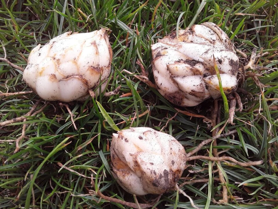 ��������: ����� �� ��� ���� � ����������� ����� ���