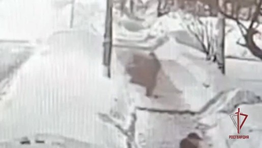 � ����������� ������������ ��������� �����������, ����������� ����������� � ����