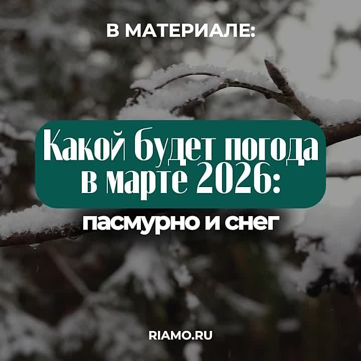 ����� ����� ������ � ����� 2026 ���� � ������ � �����������, ������� � ��������� �����