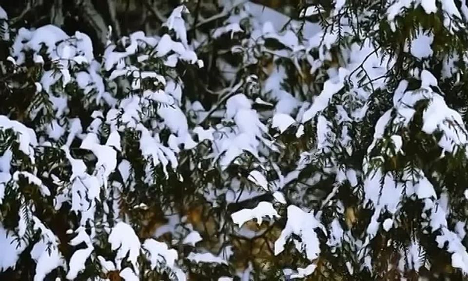 ������ ����, ��������!. ������� ���� ��������� �� 4��������� � ���� ���� �� ���� �������, �� �� �� ����� ������� ������