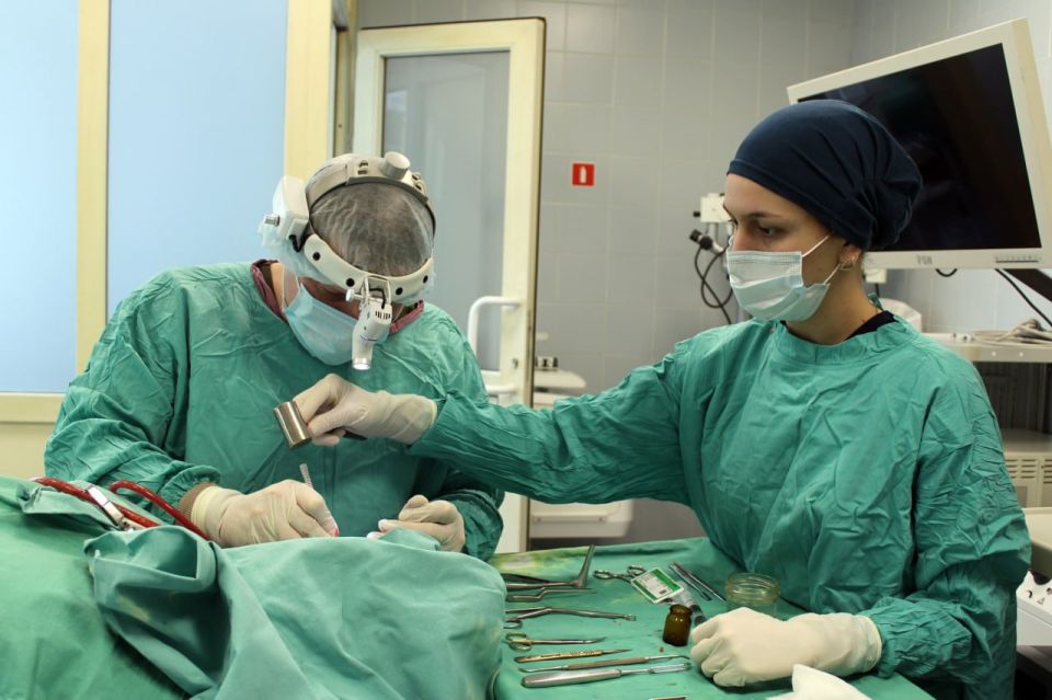 � ���������� �������� ������� ������ �������� �� �������� �������� ����