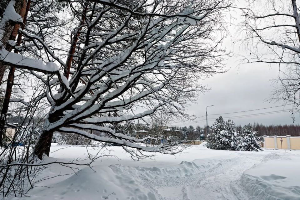 � 1 ����� 2026 ���� �������� � ���� ���������� ��������� � ��������� ������