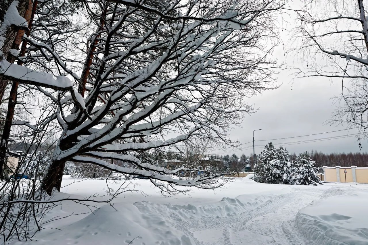 С 1 марта 2026 года вступают в силу масштабные изменения в Земельный кодекс