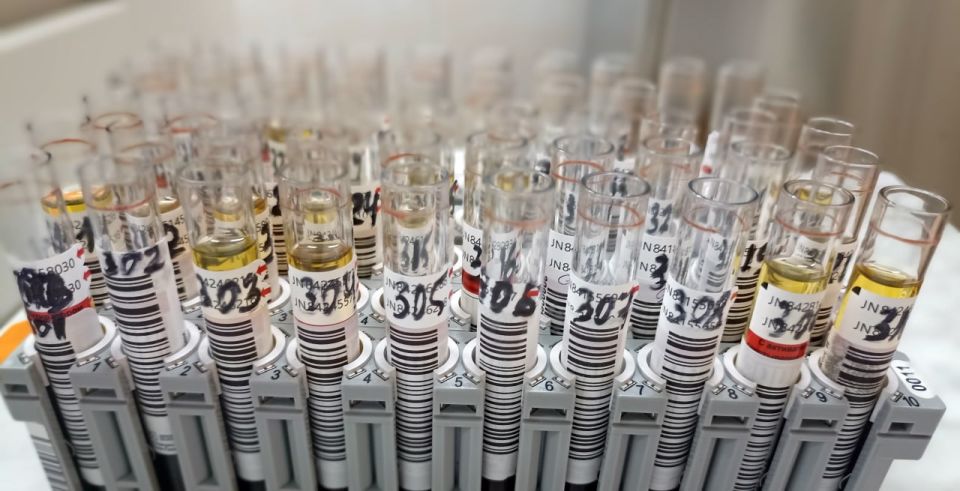 Почему сдавал анализы в Пушкинской больнице, а приходит результат с пометкой Королёва?