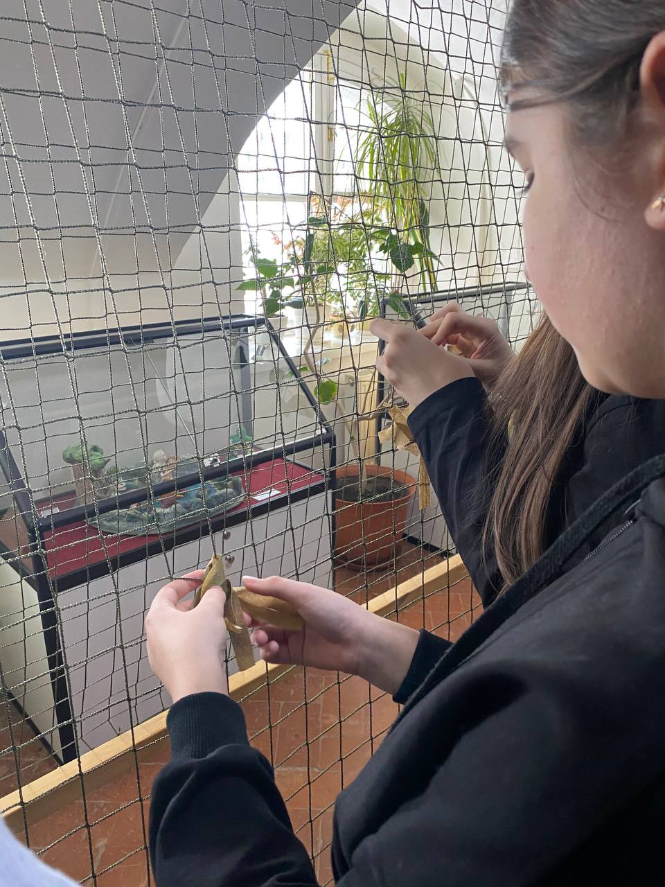 ВЫСТАВКА «ГЕРОИ СВО». Учащиеся 5з и 8з класса нашей школы посетили выставку "ГЕРОИ СВО" в музее «Усадьба Лопасня-Зачатьевское», посвященную 4х- летию с начала Специальной Военной Операции Выставка создана при поддержке... ВЫСТАВКА «ГЕРОИ СВО». Учащиеся 5з и 8з класса нашей школы посетили выставку "ГЕРОИ СВО" в музее «Усадьба Лопасня-Зачатьевское», посвященную 4х- летию с начала Специальной Военной Операции Выставка создана при поддержке...