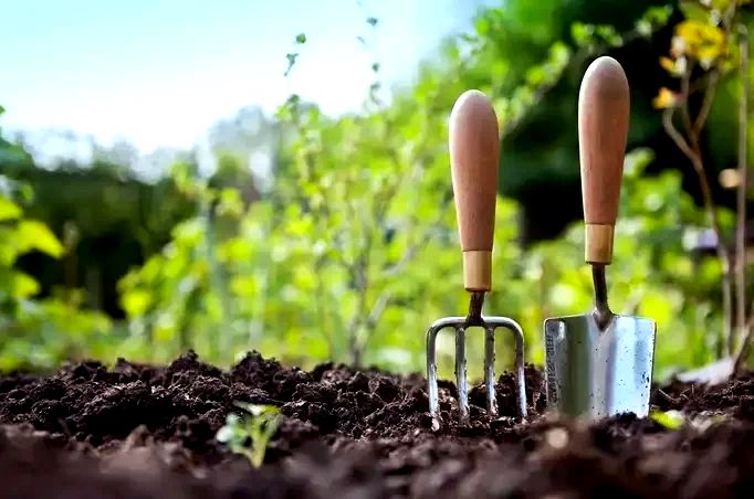 ��� �� ����� ��������� � ����� ��� �������: ������ ���������