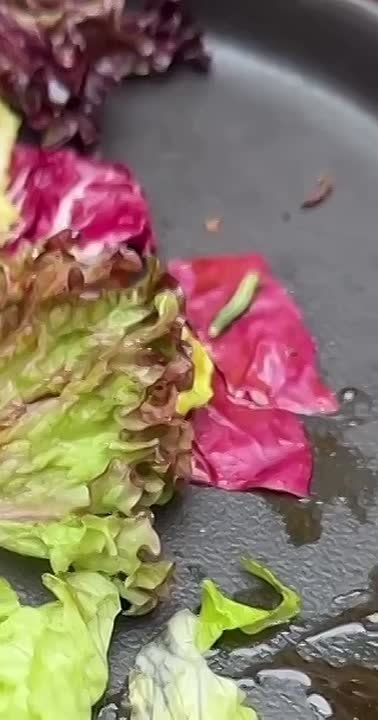 ������ �����, ��� ������: ����� � ��������� ������ � ��������� ��������� ������