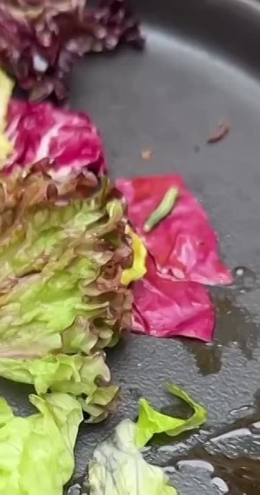 «Сразу видно, все свежее»: салат с гусеницей подали в известном ресторане Москвы