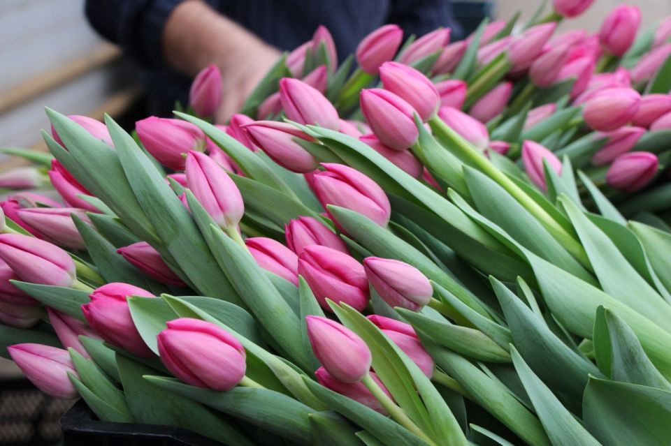 ����� 200 ������� �������� � ����������� � �����