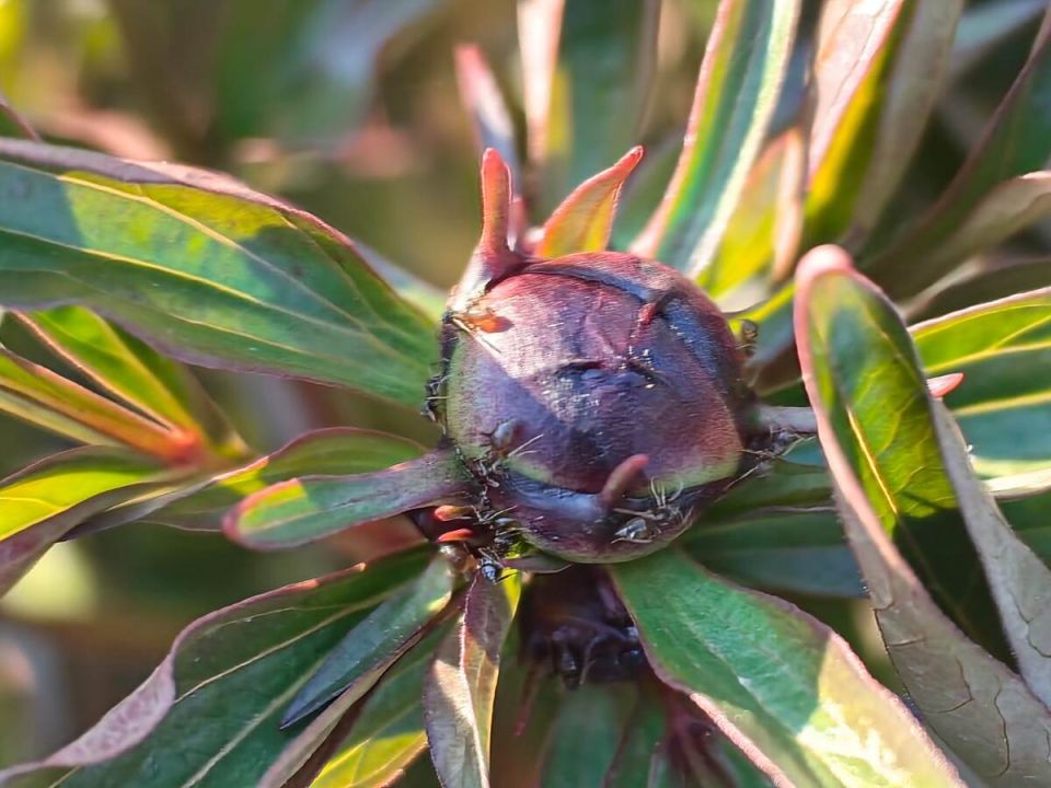 ������� �� ������: �� ����� ���������� ��-�� �������� ������