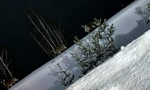 Доброе утро, Серпухов!. Сегодня — последний день зимы, и она прощается с нами похорошему, даря вместо морозов и вьюги почти весеннюю температуру