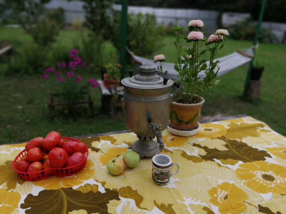 �������� �� ����: ��� ������ � ������� � ��� ������� ������ �� ����