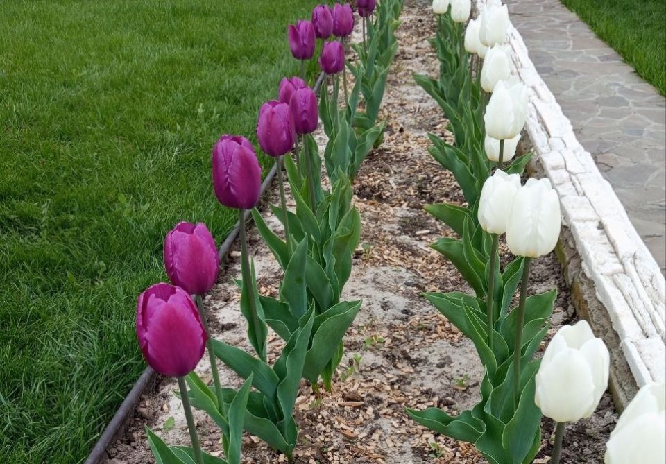 ��������: �������� ������ ����