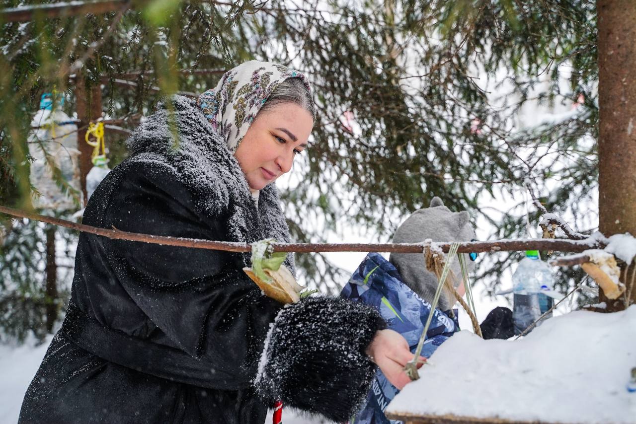 Эко-программа в Химках раскрыла тайны зимнего парка Толстого Эко-программа в Химках раскрыла тайны зимнего парка Толстого