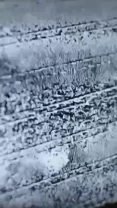 Владислав Шурыгин: Открыт набор операторов БПЛА в подразделение беспилотных систем (г. Балашиха)