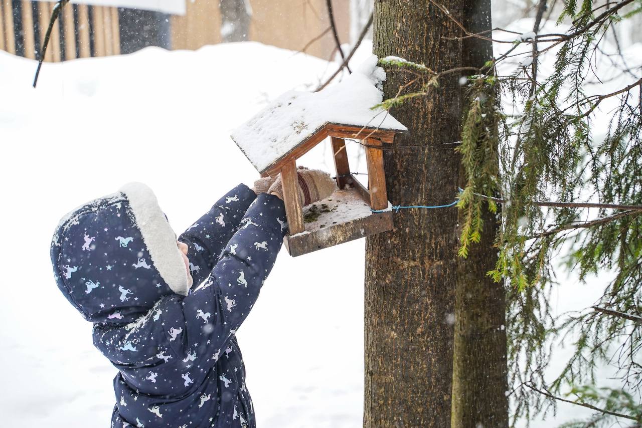Эко-программа в Химках раскрыла тайны зимнего парка Толстого Эко-программа в Химках раскрыла тайны зимнего парка Толстого