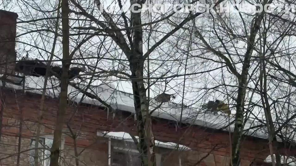 � ������������ ������� ���� ������� ���� �� ����� � ������