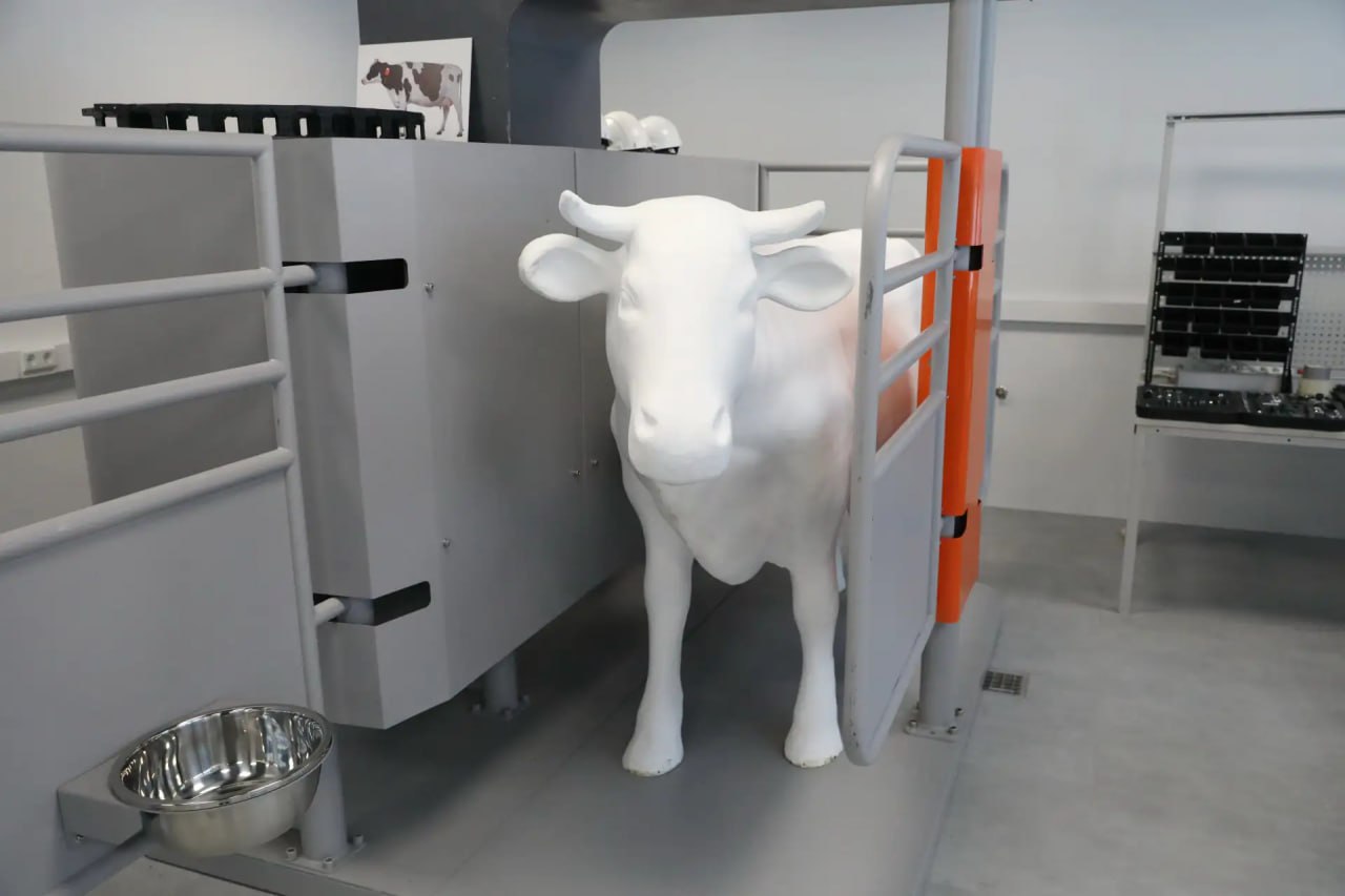 Не по дням, а по часам: кампус МФТИ в Долгопрудном прирастает новыми корпусами Не по дням, а по часам: кампус МФТИ в Долгопрудном прирастает новыми корпусами