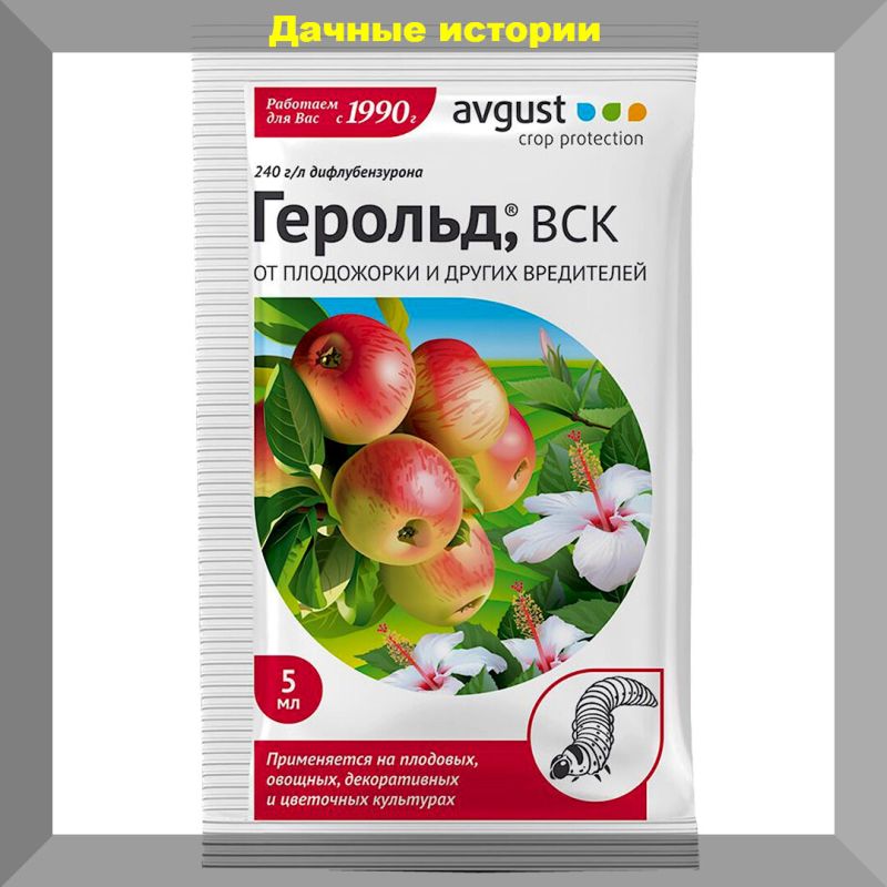 ��� ���������� � �����������: 10 �������� ��� ���������� ���������