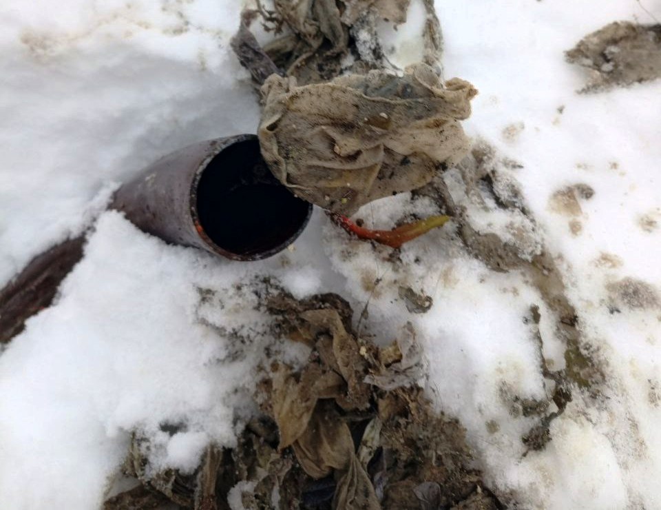 Рассказываем про очередной «улов» работников коммунальных служб Пушкинского Рассказываем про очередной «улов» работников коммунальных служб Пушкинского