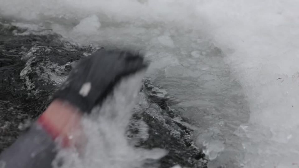 ������ ��� ������!. ��������� ��������!