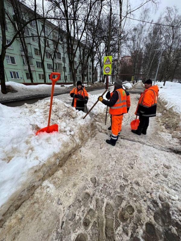 ������ ��������: � �������� ����� �������� �������� ��������