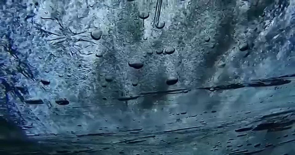 ������ �� � ���� �� ������� ���������� ��������� �������