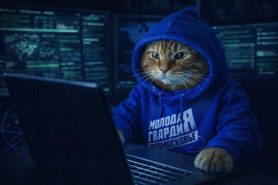 � ����������� ���������� ������������� ������ 20 ������ �� ������� ������