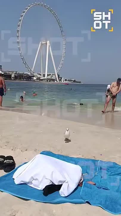 ���������� ������� ��������� �� ����� �����