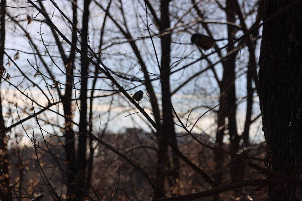 ���������� � ��������� ����� 7 � 8 �����