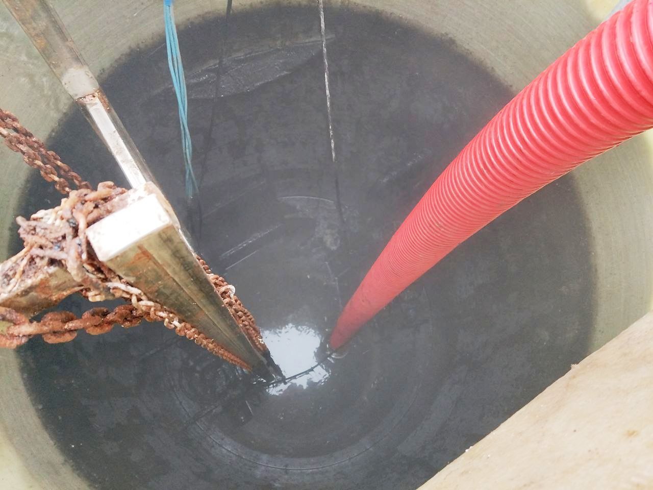 Рассказываем про очередной «улов» работников коммунальных служб Пушкинского Рассказываем про очередной «улов» работников коммунальных служб Пушкинского