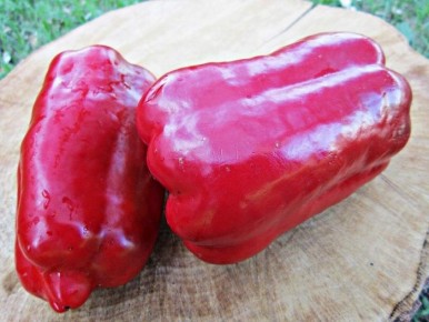 Красный великан: перец с необычайным размером и вкусом
