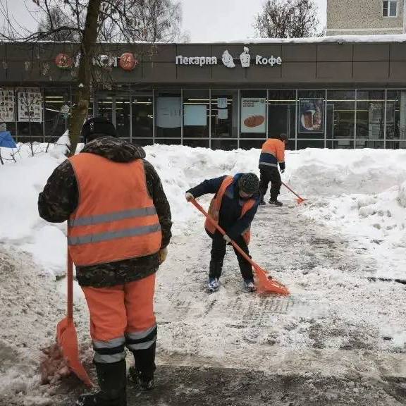 Юлия Купецкая: С первыми весенними днями в Подмосковье пришла оттепель Юлия Купецкая: С первыми весенними днями в Подмосковье пришла оттепель