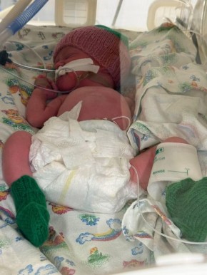 12 �����, ������� �������� �����: ������� �������� ������������� � ����������� �������