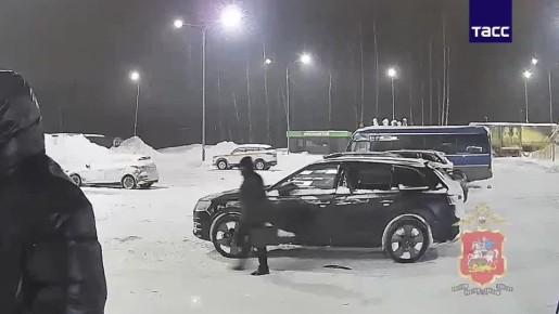 Трое мужчин украли портфель с 10 млн рублей из автомобиля на парковке ТЦ на Каширском шоссе