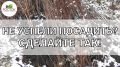 Как правильно прикопать саженцы осенью для успешной зимовки