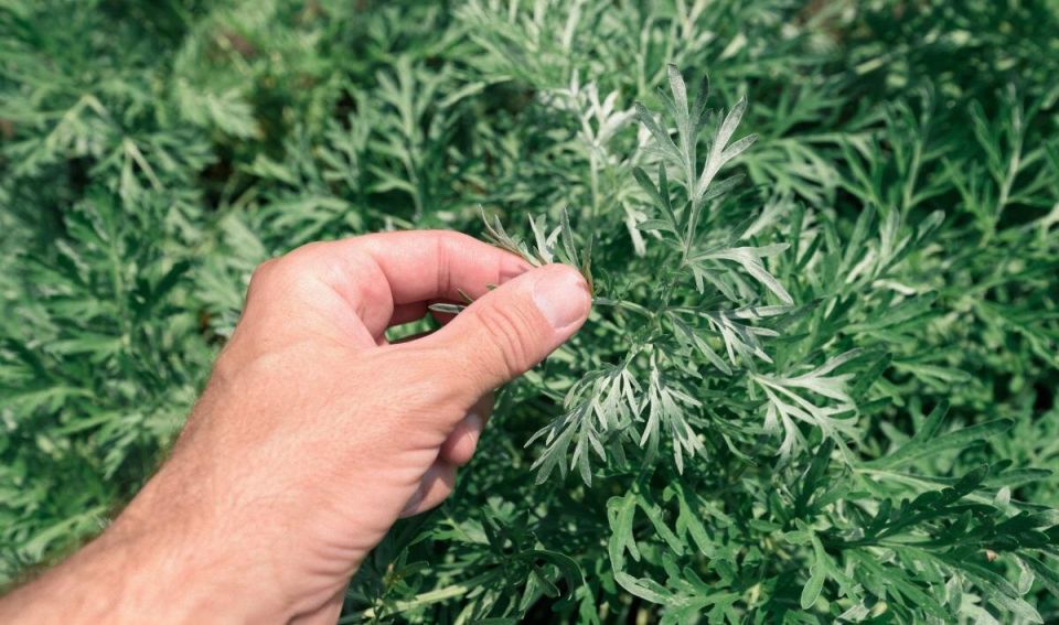 ������: ��� ������� �� ��������� � ����� ���� � �������