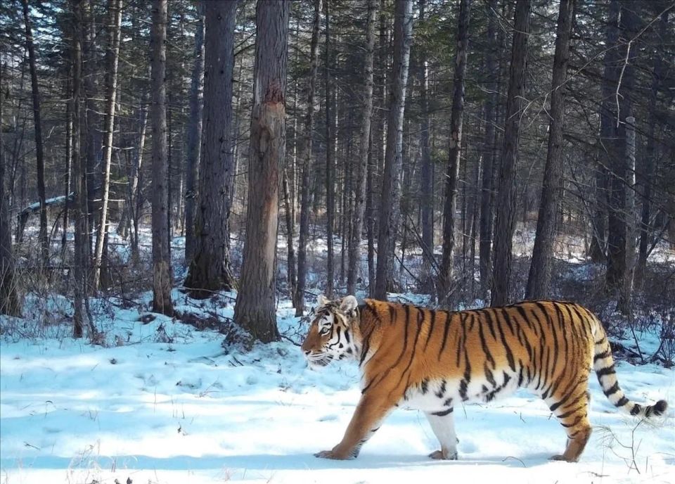 ������������� ���� ������������� � ��������������� �������� ����� ����� ������ �� ������� ���