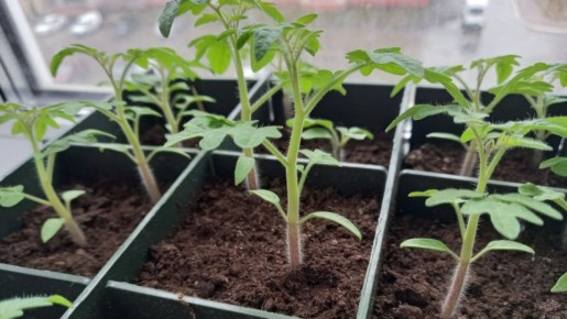 ��� ��������� ������ ������� �� ������ ���� � �� �������� ���������