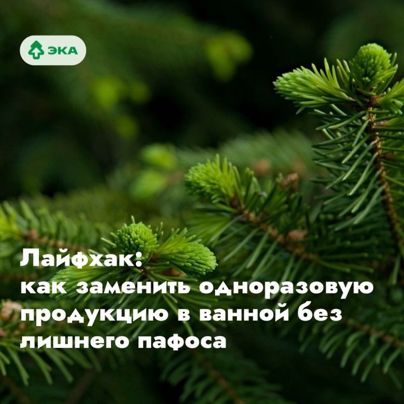 ��� ��� ������ ������ ������� ���� ������ ����� �����������