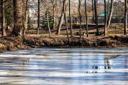 ����� � ������������� �.�. ������: �������, 1886