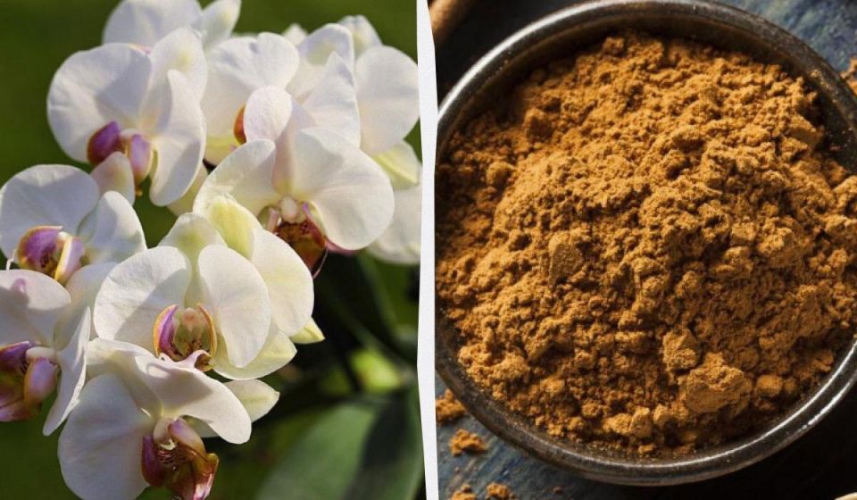 ��� ������ �������: ����������� ������ �� ������ ������